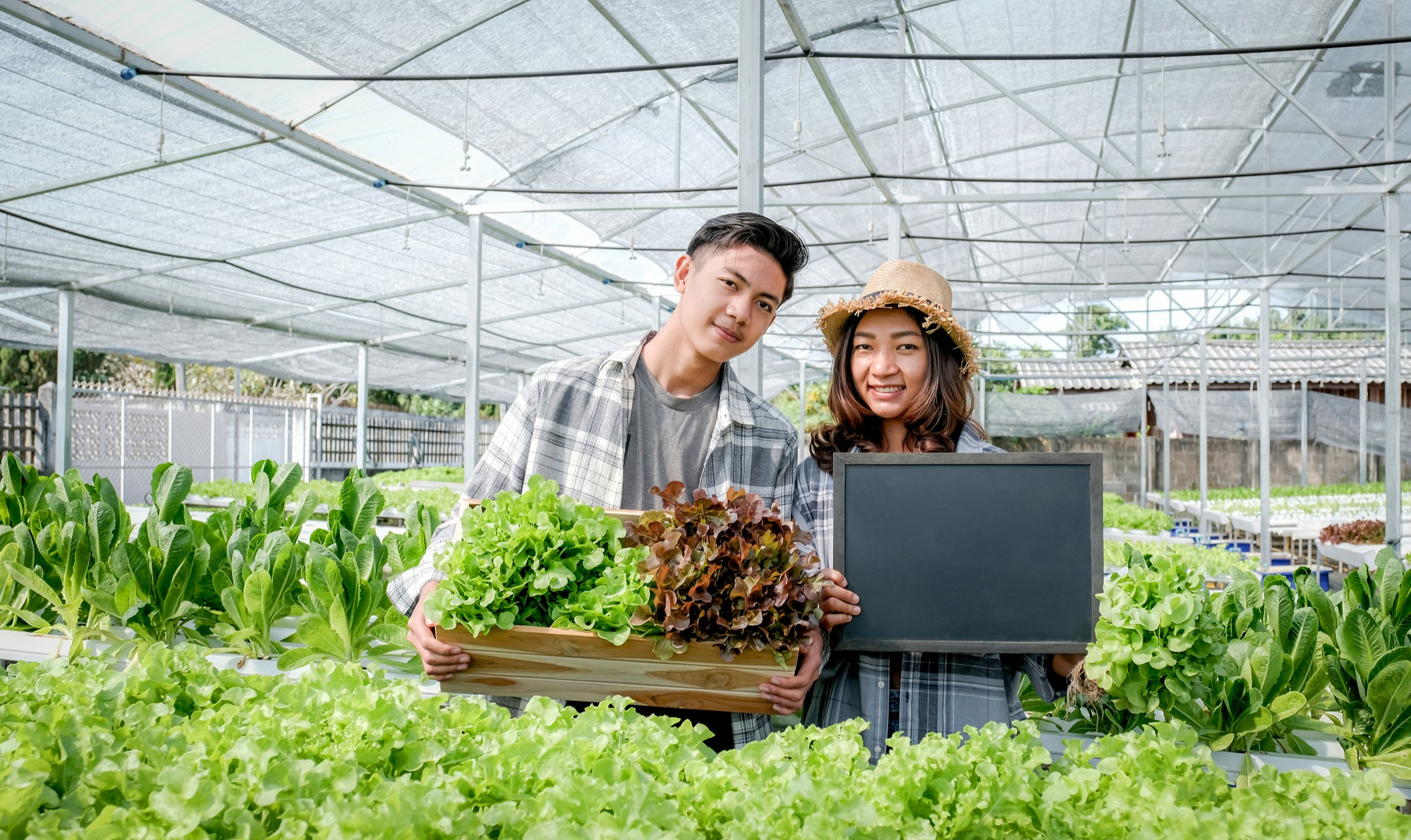 Aquaculture & Agriculture